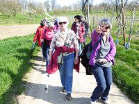 11 Cerisiers en fleurs dans l&#39;Ortenau Mösbach 10 04 2016 33